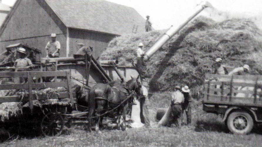 Ludwig Farm